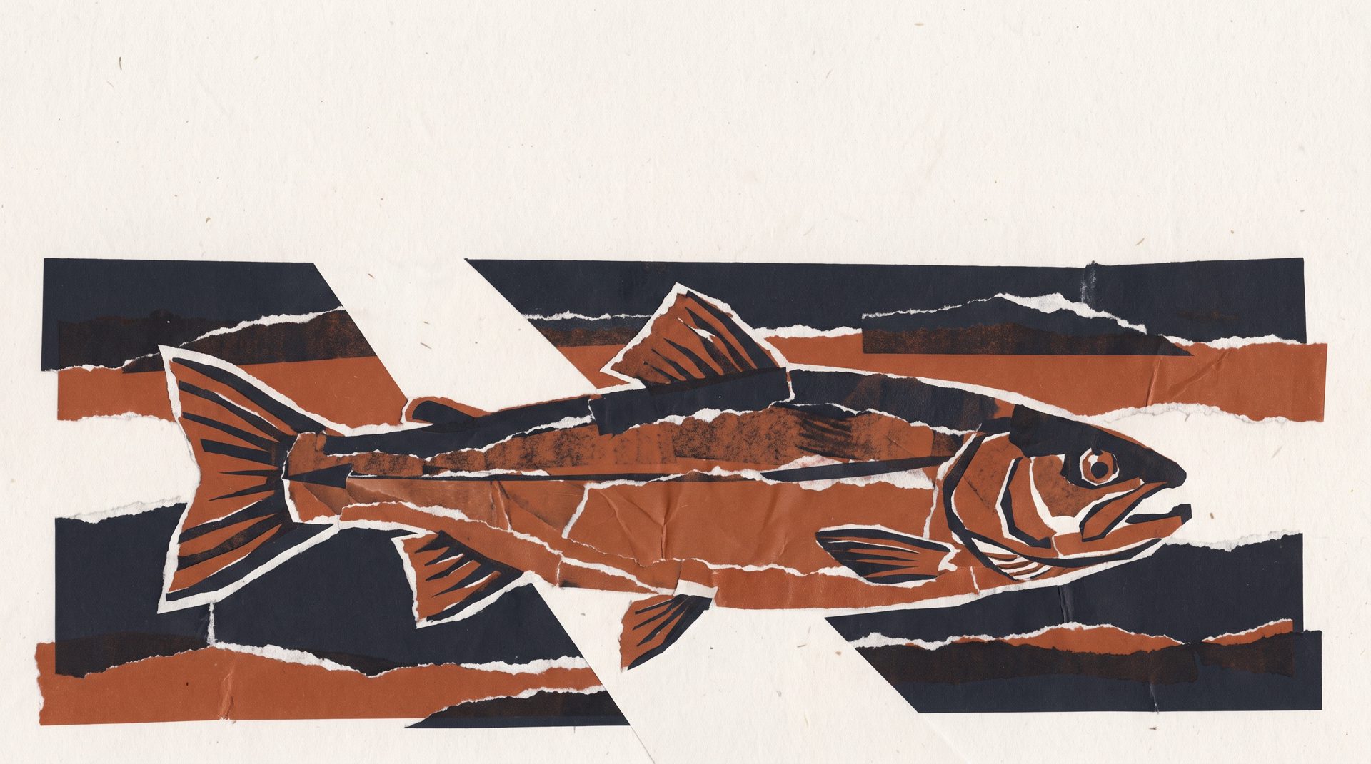 Cut paper illustration: a whole fish lying across torn bands of rust and ink water.
