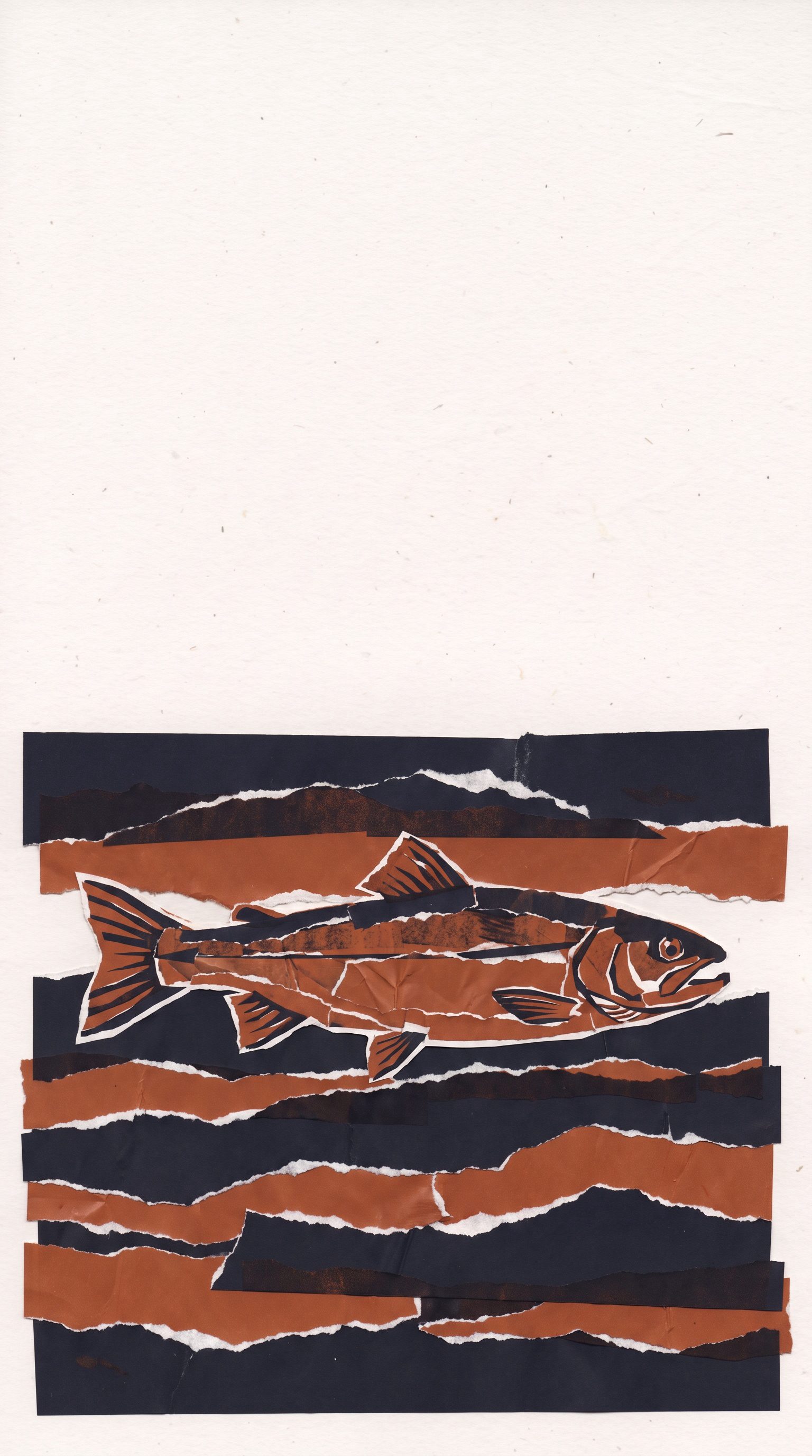 Cut paper illustration: a whole fish lying across torn bands of rust and ink water.